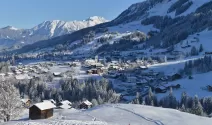 http://hotel-alpenstueble.at/kleinwalsertal/winter
